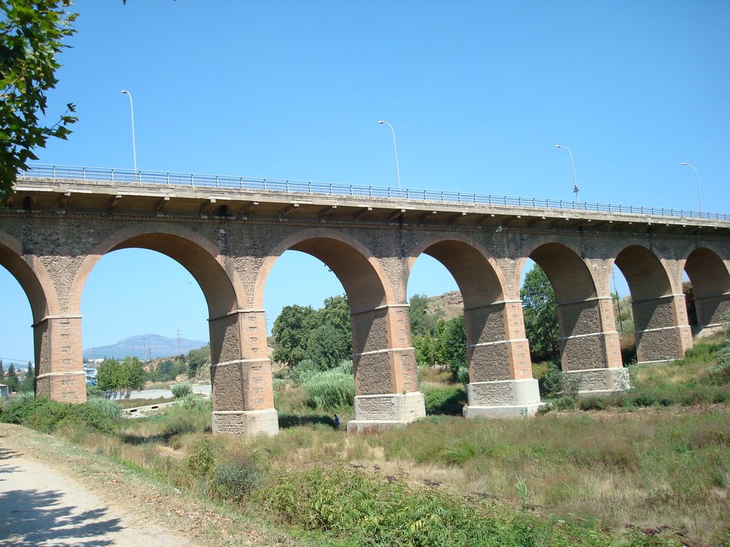 Puente de la Salud-032