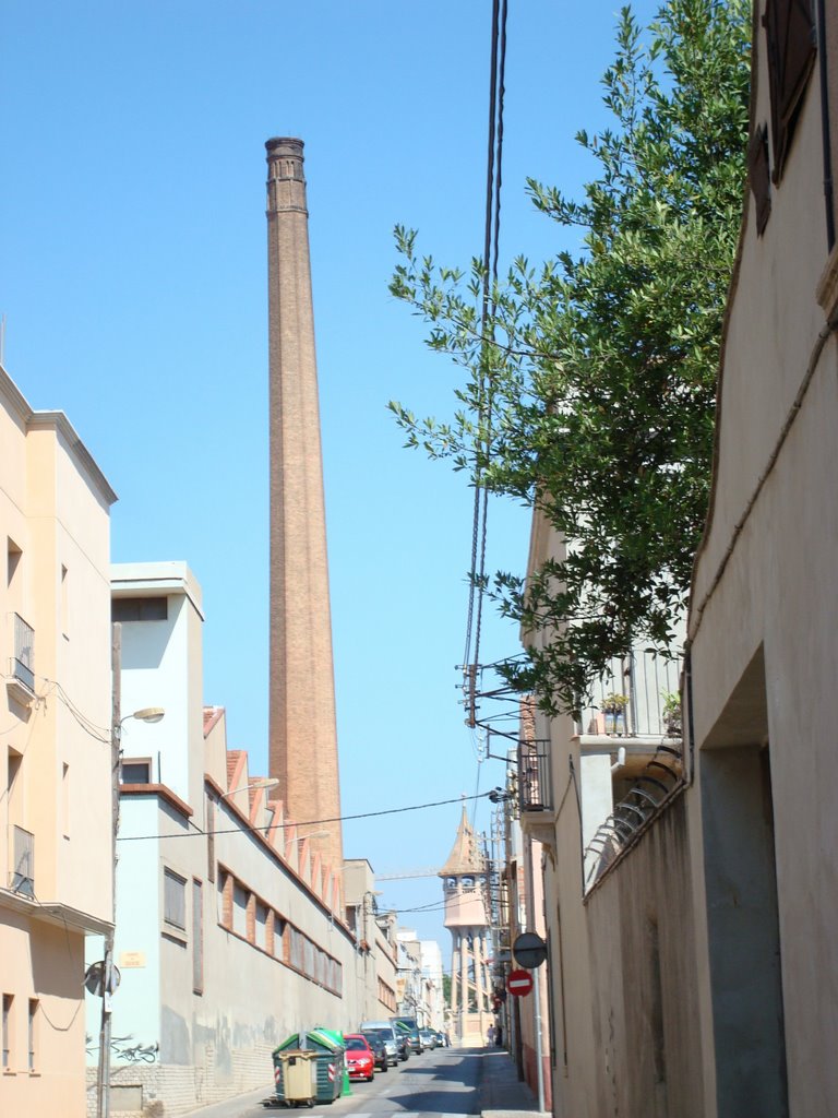 Sabadell Ciudad Lanera de España-033