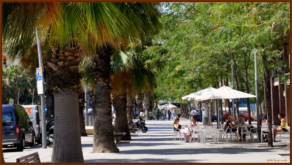 CAFE ON MARINA STREET - SUMMER TIME IN  BARCELONA  /Please click full size  and F11/