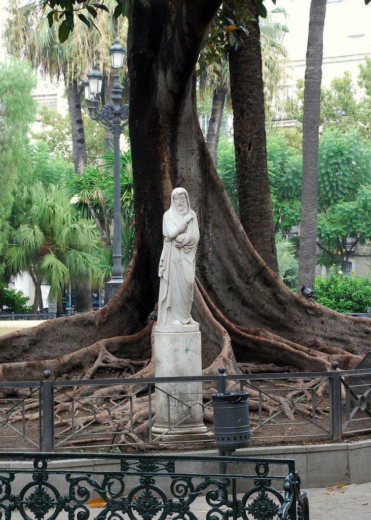 Plaza de Mina (Cádiz, 12-9-2007)