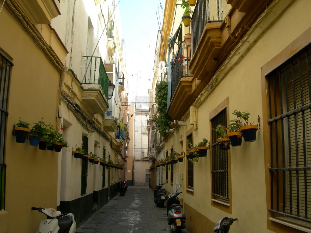 Barrio de la La Viña