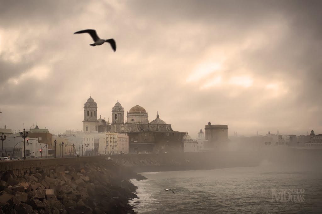Dia de niebla