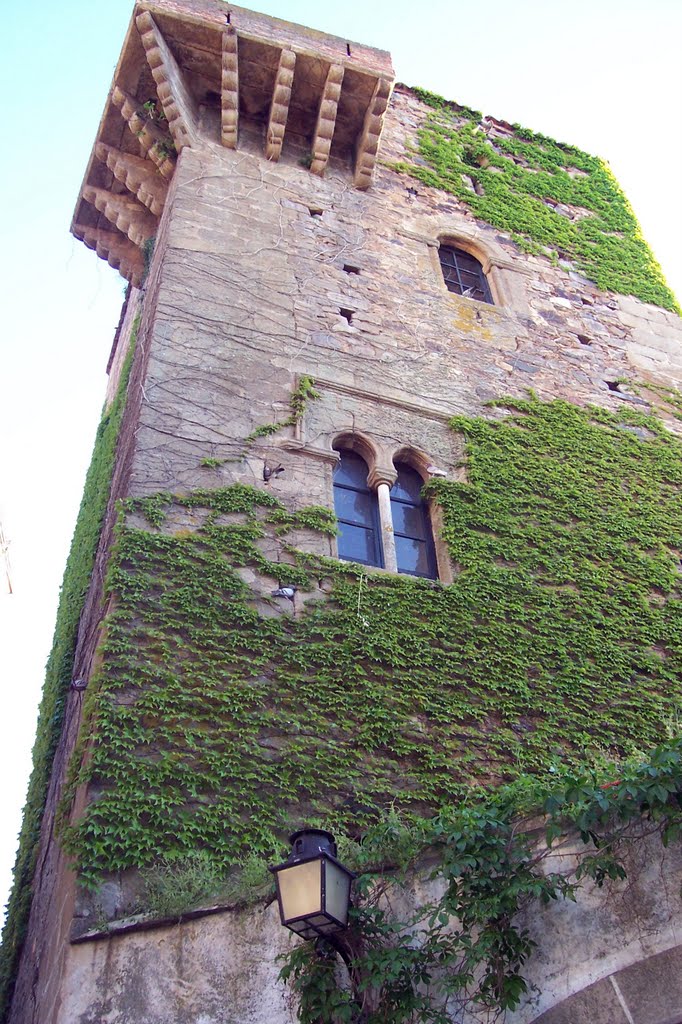 Torre de la Hiedra