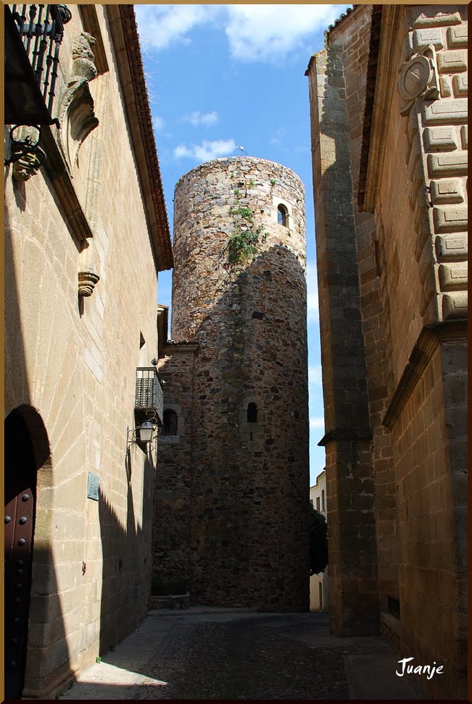 Torre de Carvajal (Cáceres, 3-7-2010)