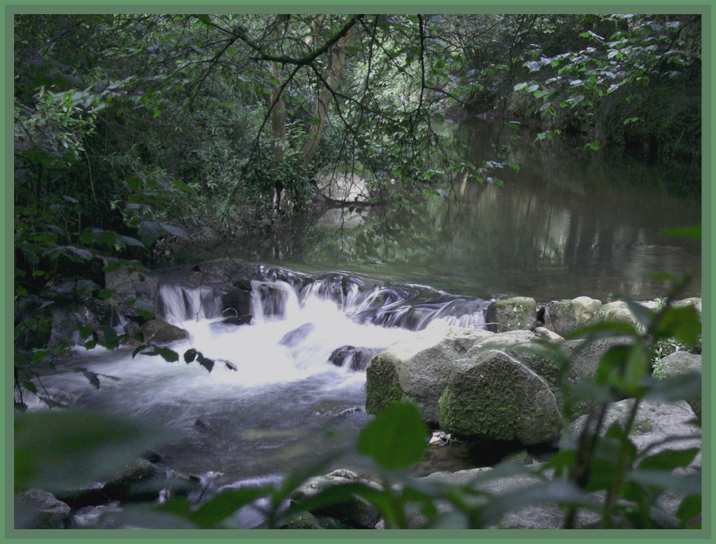 : Por el Rio Lagares