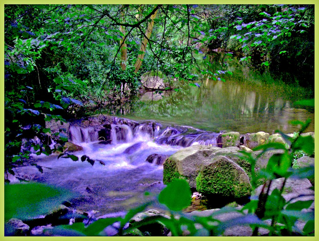 : Por el Rio Lagares V