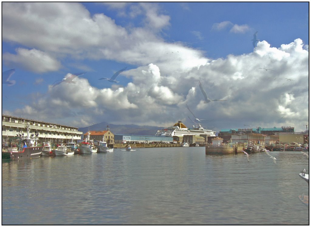 : Desde el puerto pesquero