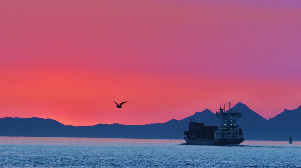 Vigo
