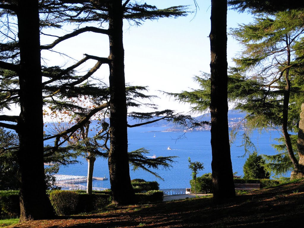 Ponta da Baleia, em Cangas, enxergada entre os cedros do Castro (Vigo, Galiza)