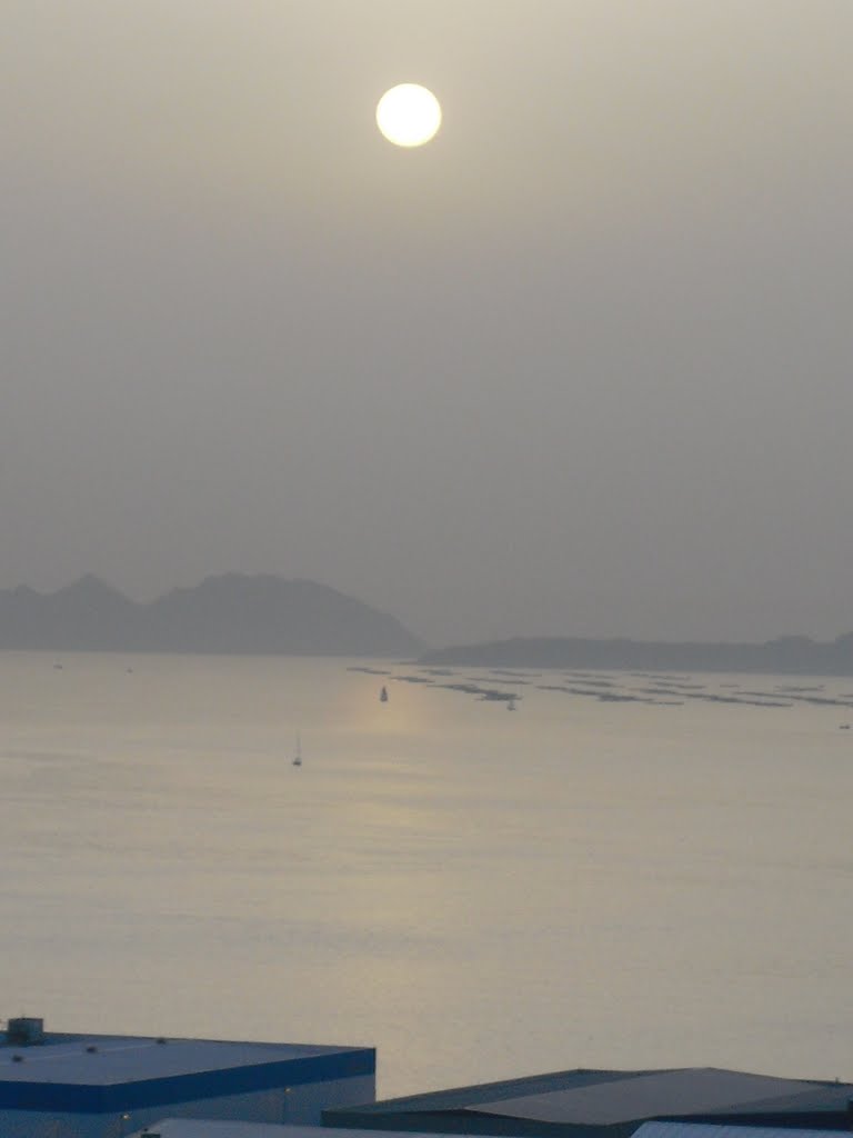 Sol Tenue. En la Ría de Vigo.
