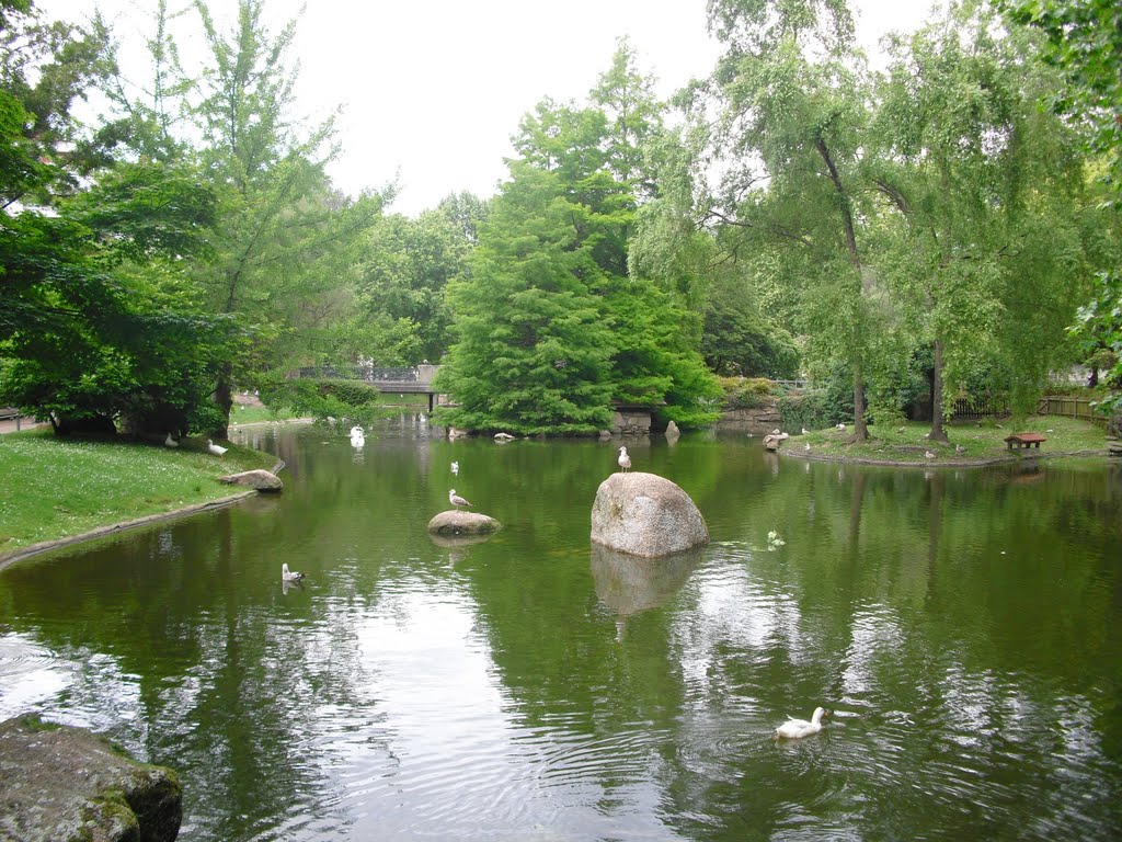 Naturaleza Viva. Parque de Castrelos. Vigo. España.
