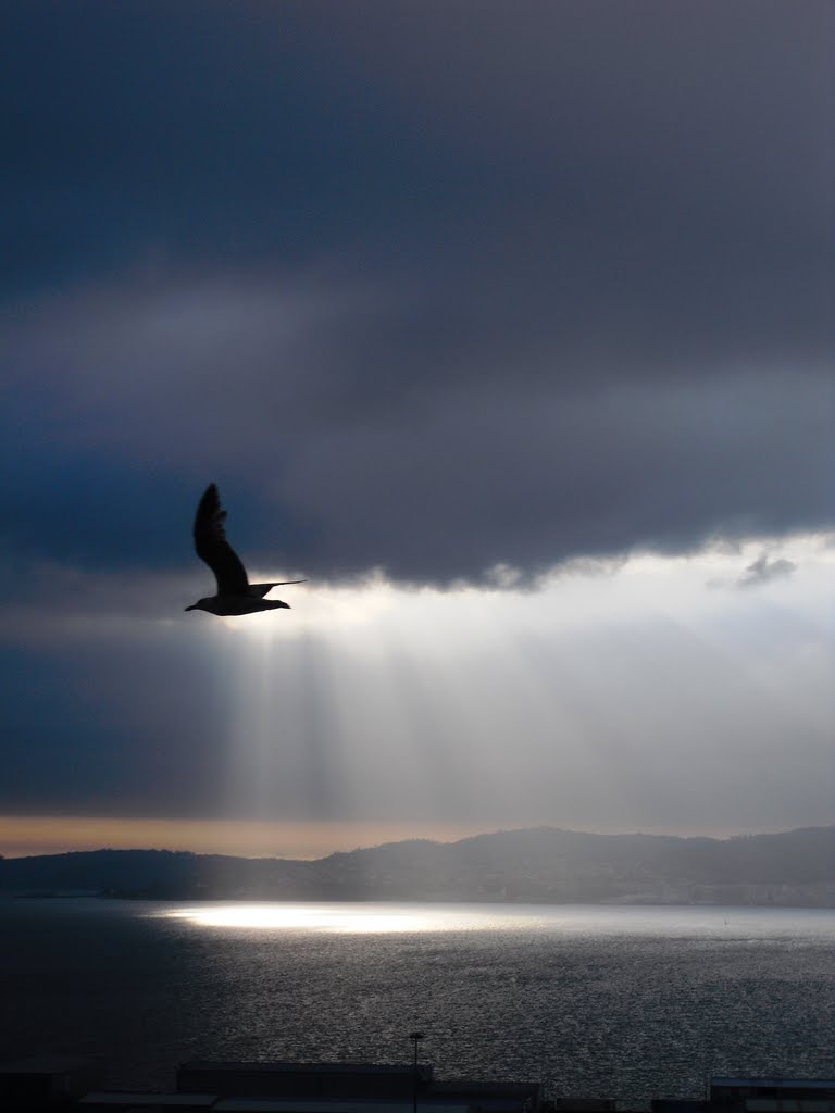 Volando al Cielo por la Ría de Vigo. España.