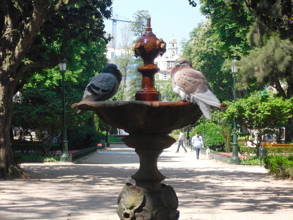 Baño de Palomas.