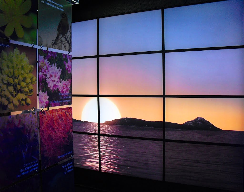 Un nuevo año, un nuevo comienzo. Museo de interpretación del parque nacional de las Islas Atlánticas. Vigo. España.