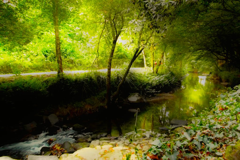 El sendero animado............en busca de la fantasia