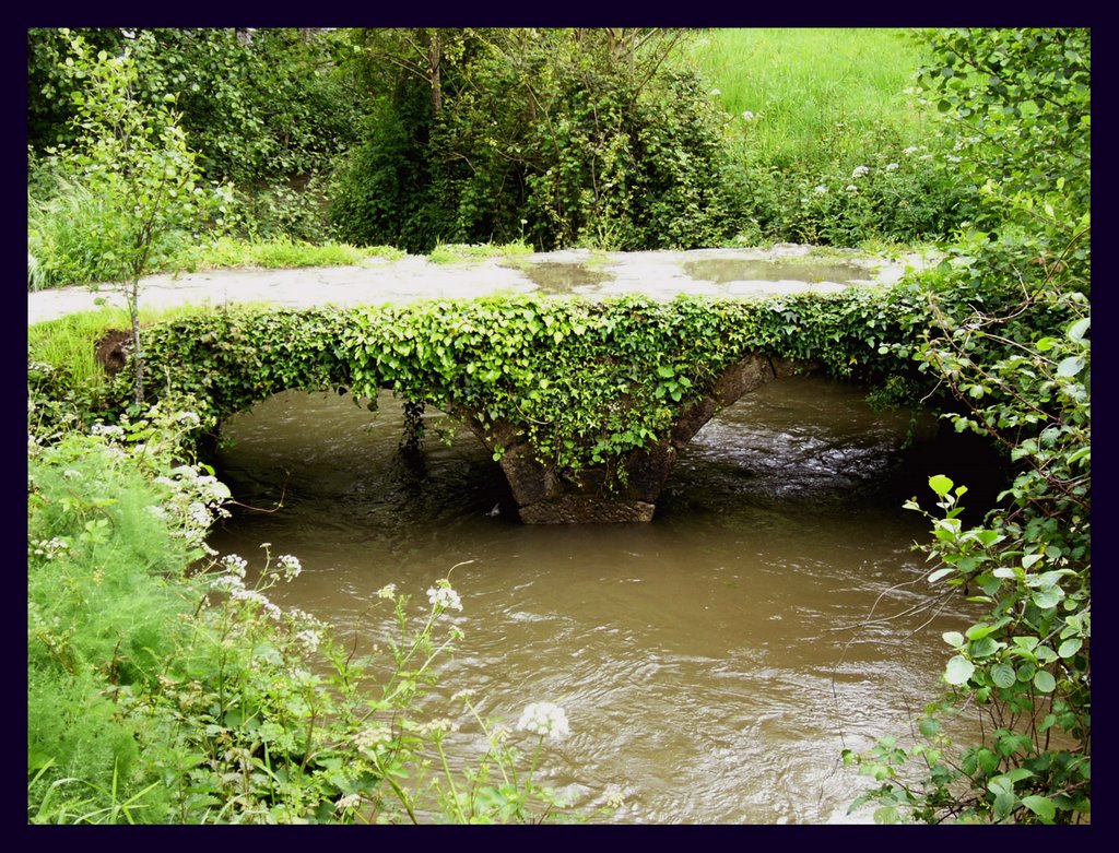 : Puente en el rio Lagares