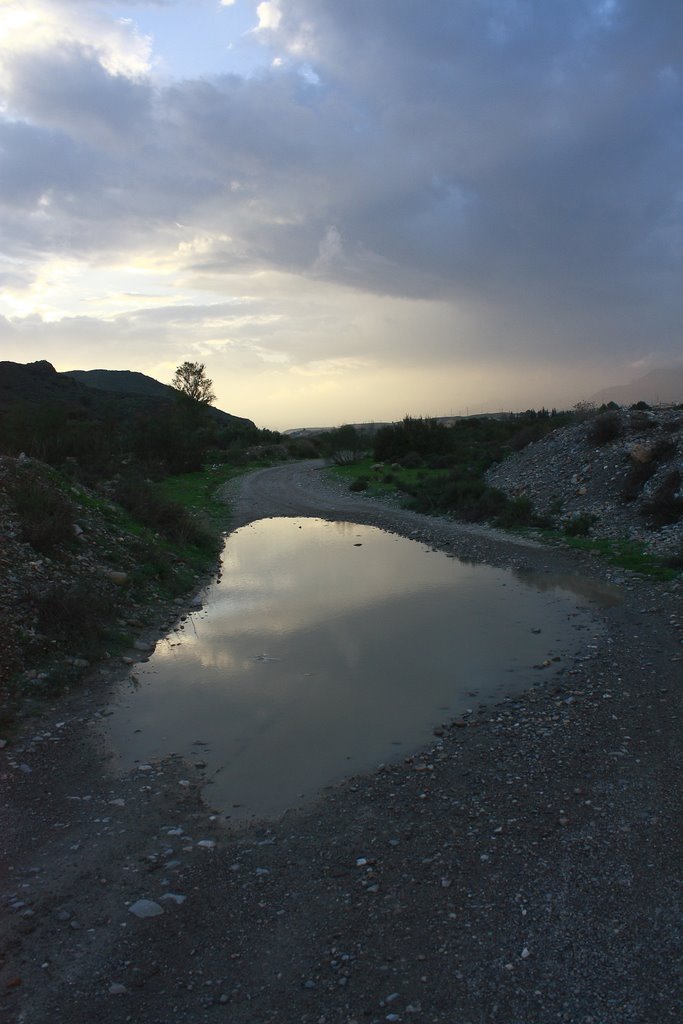 Purchena