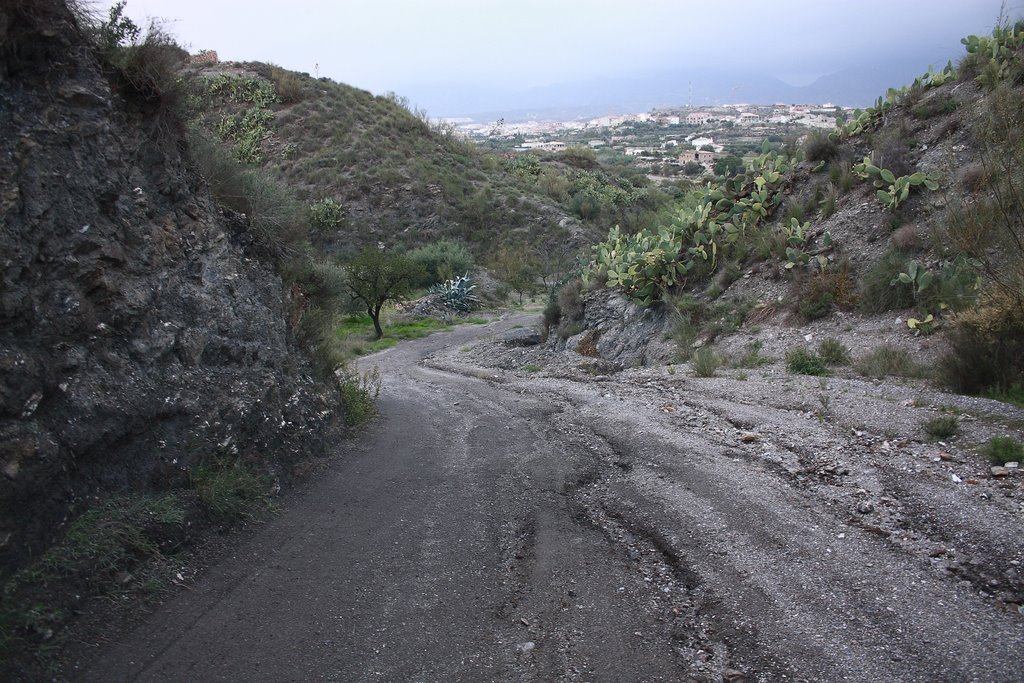 Vista de Fines