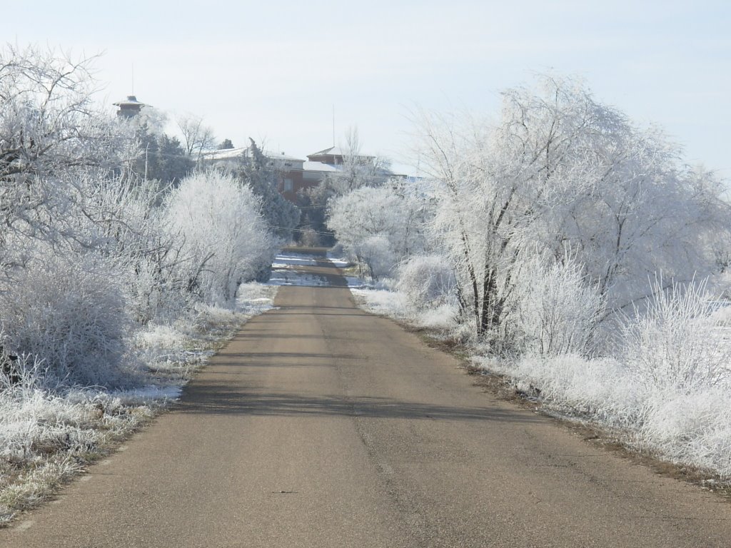 Cencellada - Enero 2009