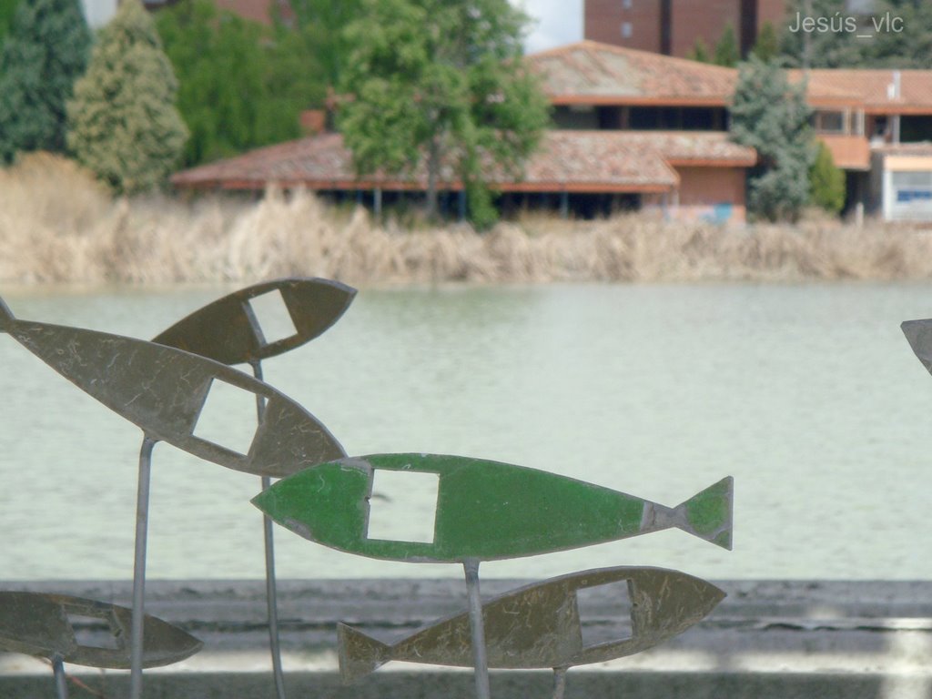 Laguna de Duero - Lago -Esculturas