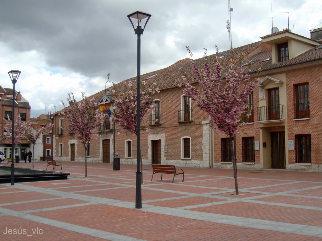 Laguna de Duero - Plaza Mayor