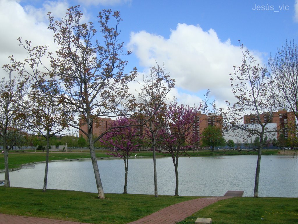 Laguna de Duero - Lago