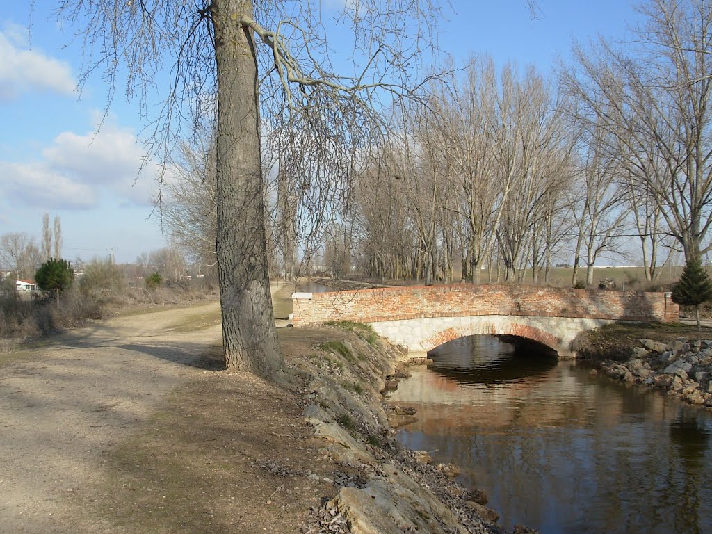 Canal del Duero