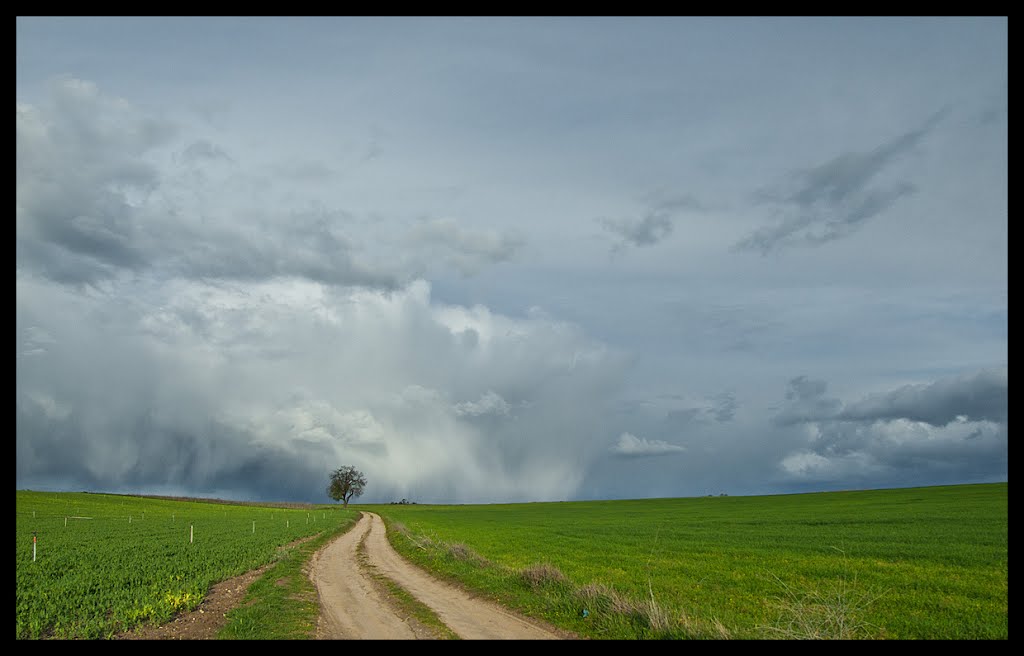 Tormenta