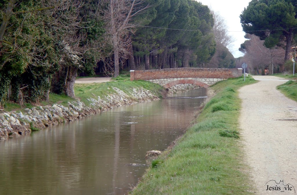 Laguna de Duero - Canal del Duero