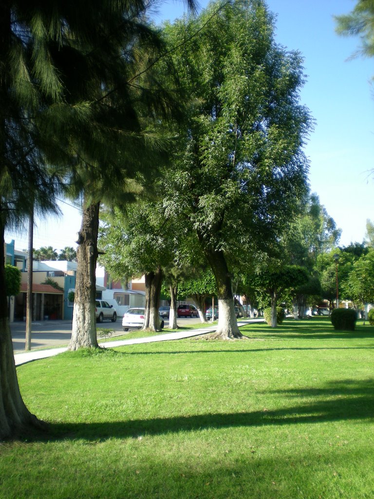 park in Loma Bonita neighbourhood