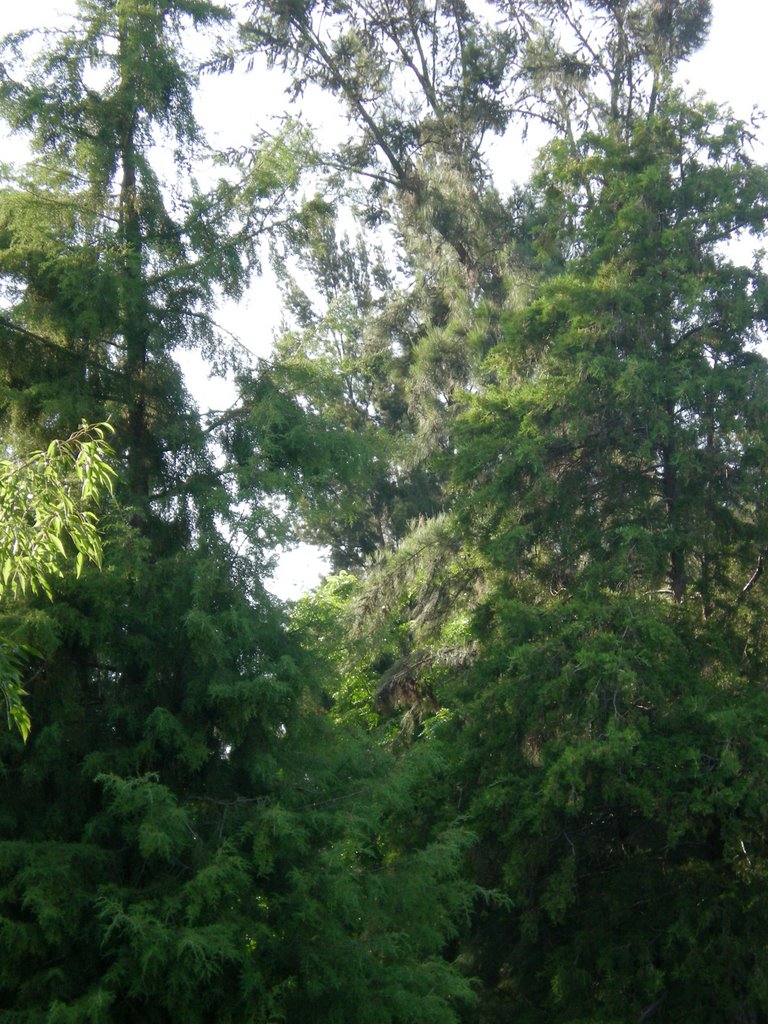 park in Loma Bonita neighbourhood, Guadalajara