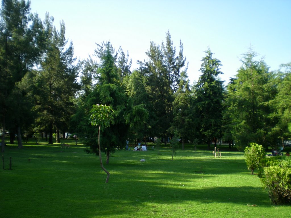 Colonia Loma Bonita, Guadalajara MEXICO