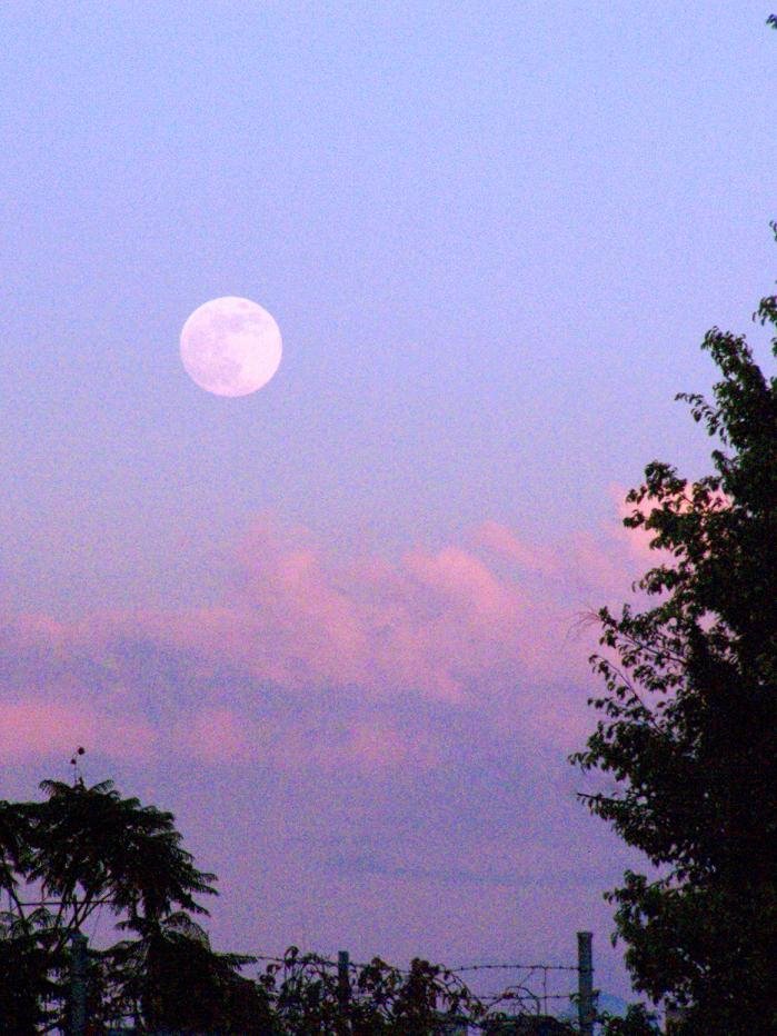 La luna desde la escuela de tenis