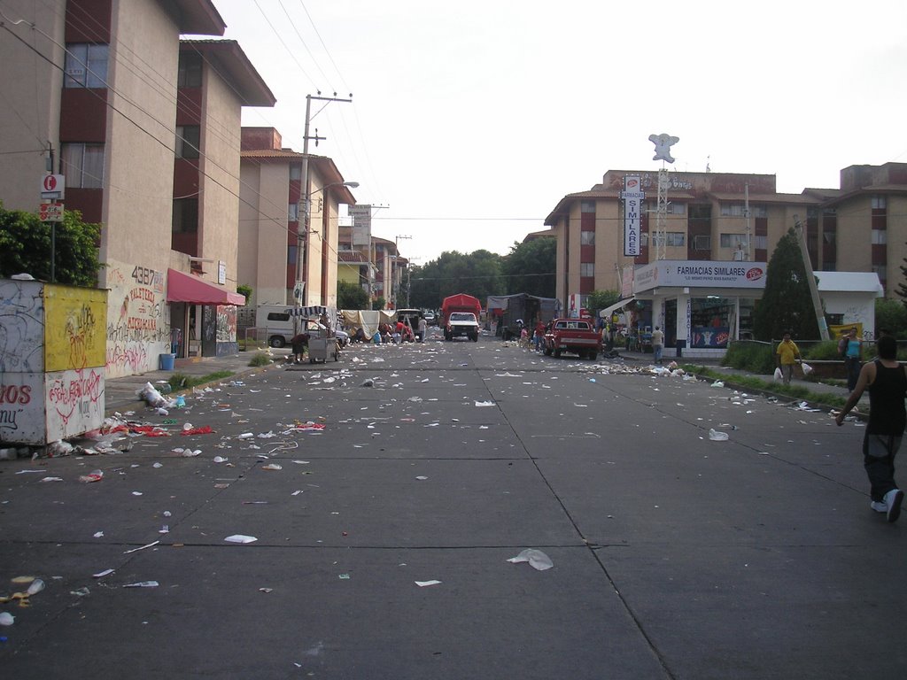 Tianguis del sauz