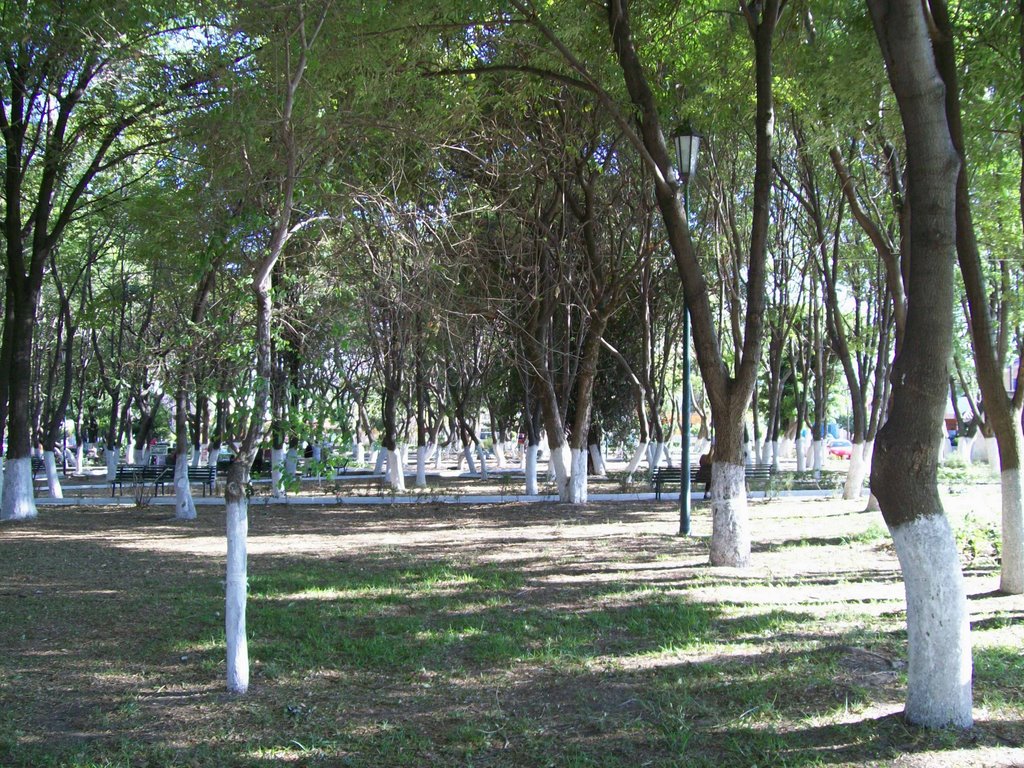 El parque de Horcadas