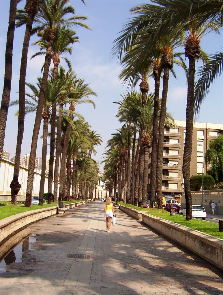 Cartagena pálmái... / Palms of Cartagena...