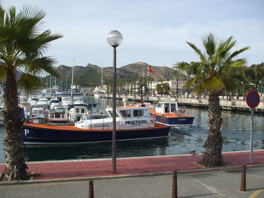 Puerto deportivo de Cartagena, Prácticos