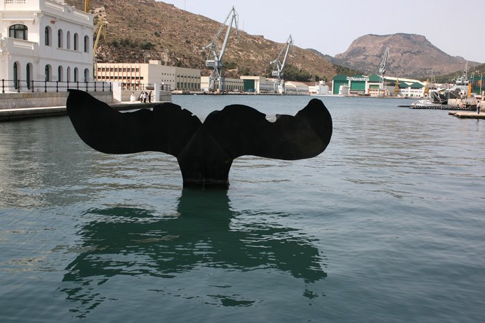 Cola de Ballena
