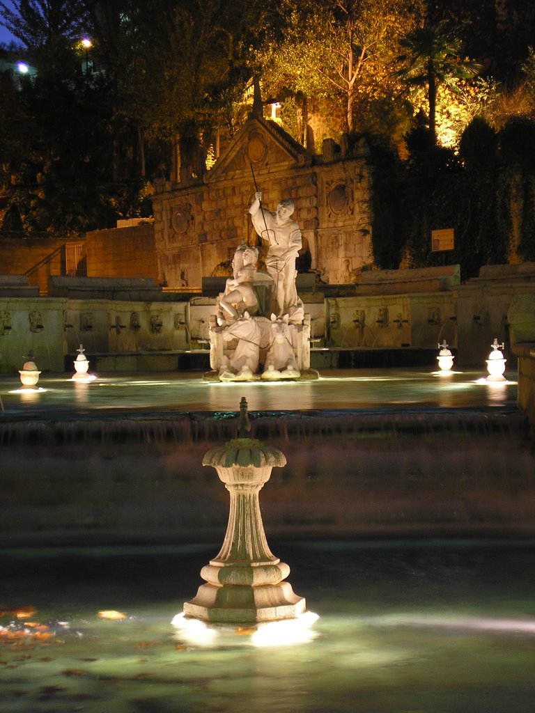 Fuente del Rey