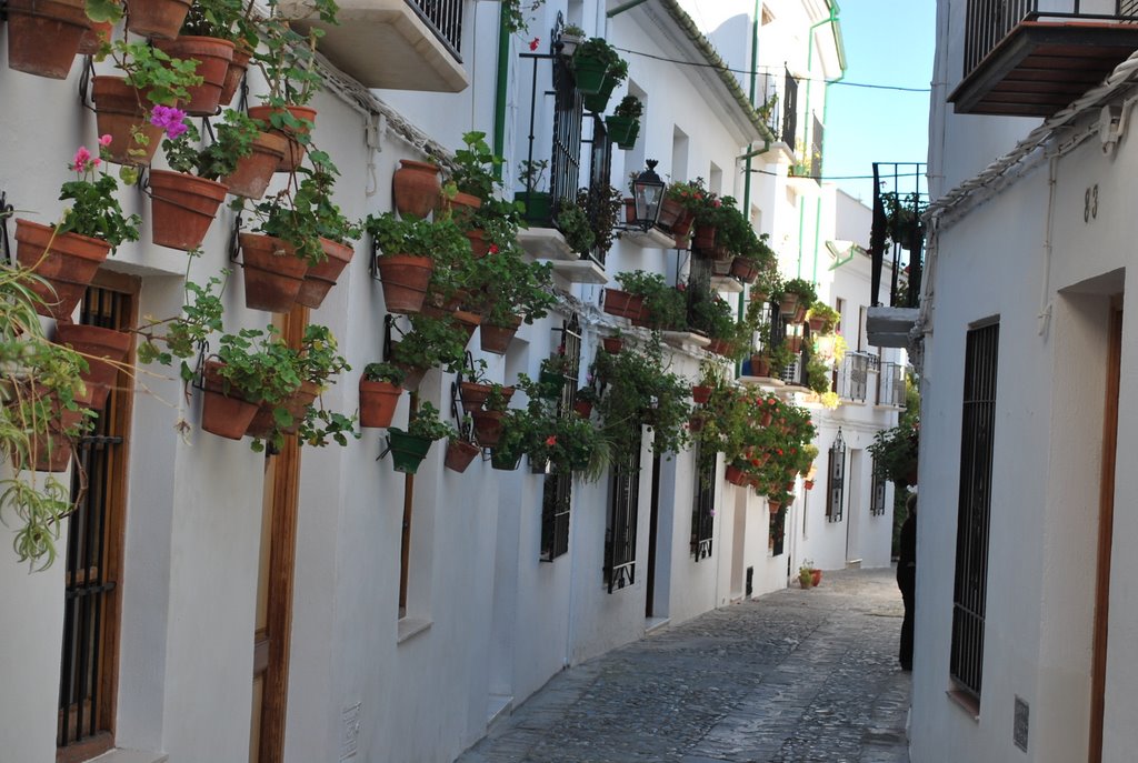 Calle Real