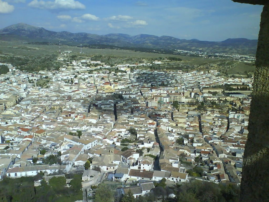 Algarinejo
