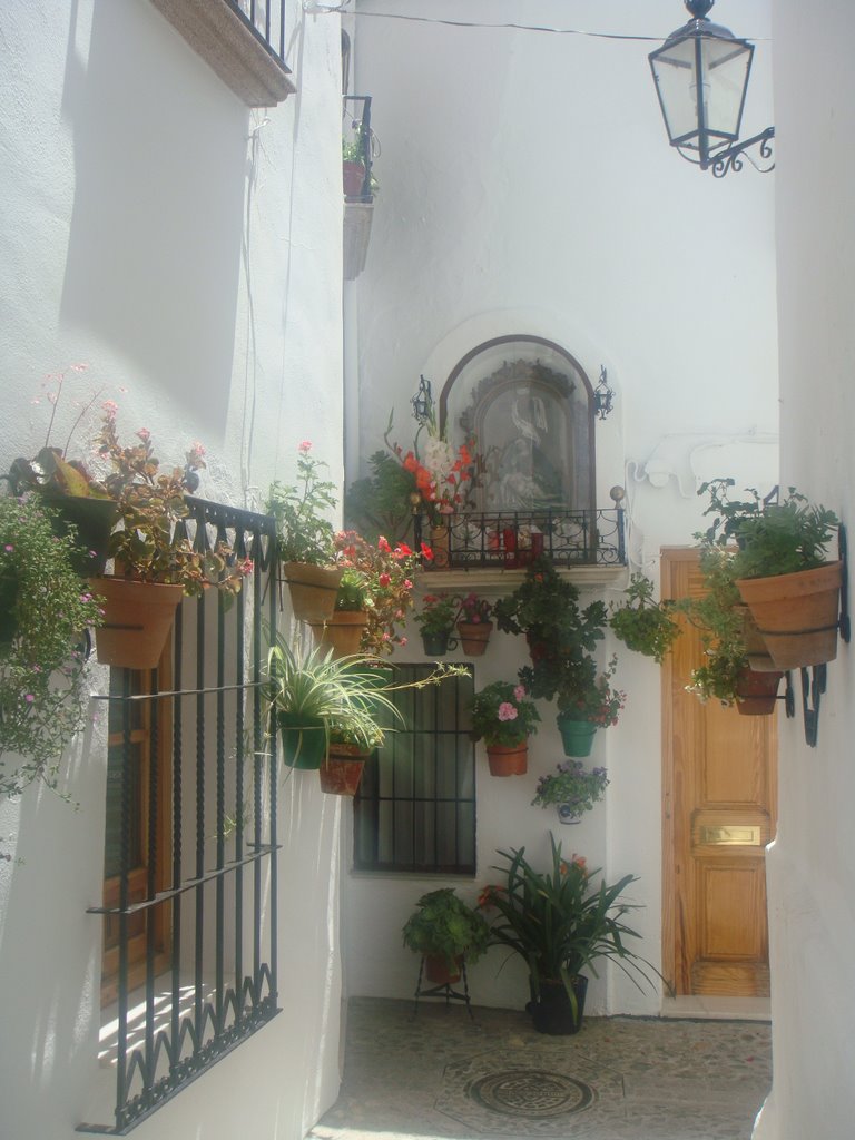 Homes in Priego