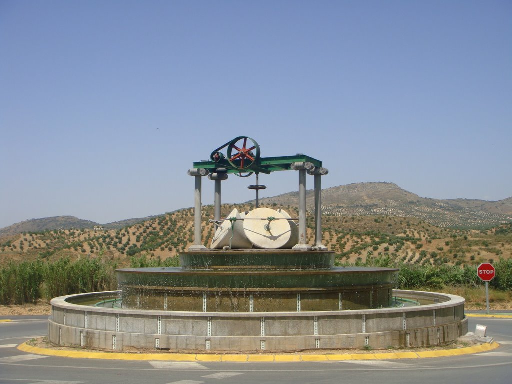 Priego de Cordoba - Olive Oil