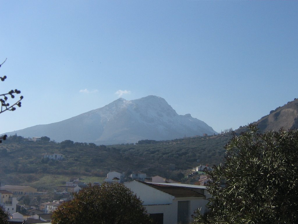 tiñosa
