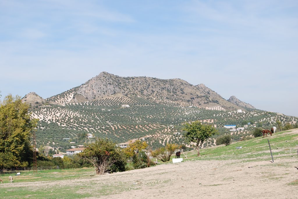 Paisaje desde  el cementerio (f)