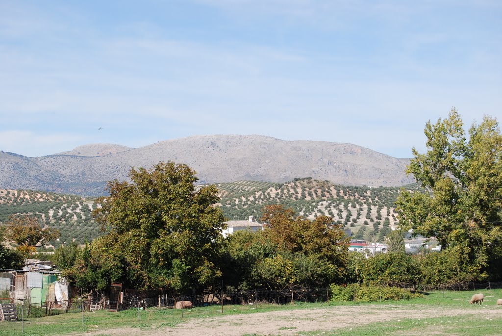Sierras  subbéticas desde Priego(f)