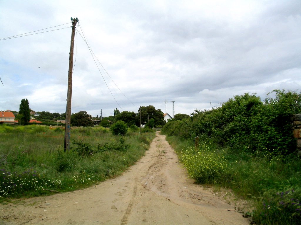 Camino Ruta-3