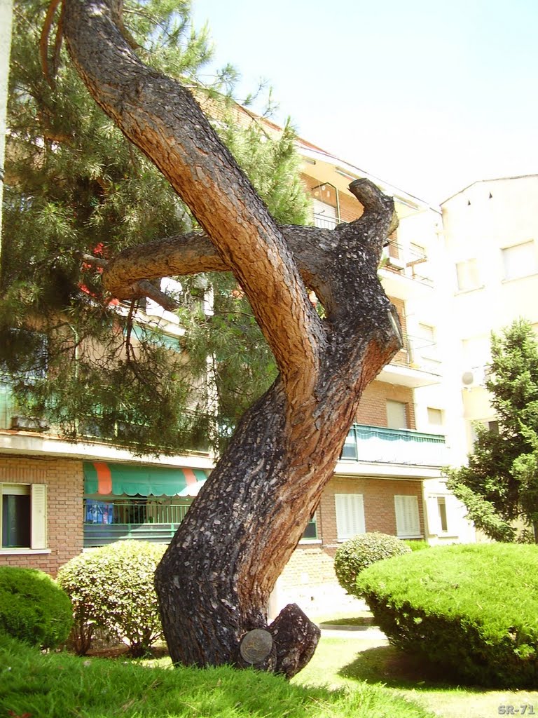 Collado Villalba