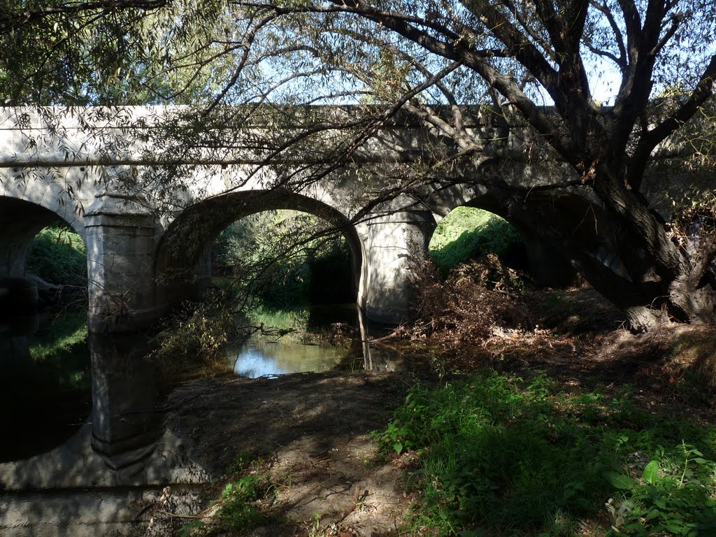 Puente del Herreño