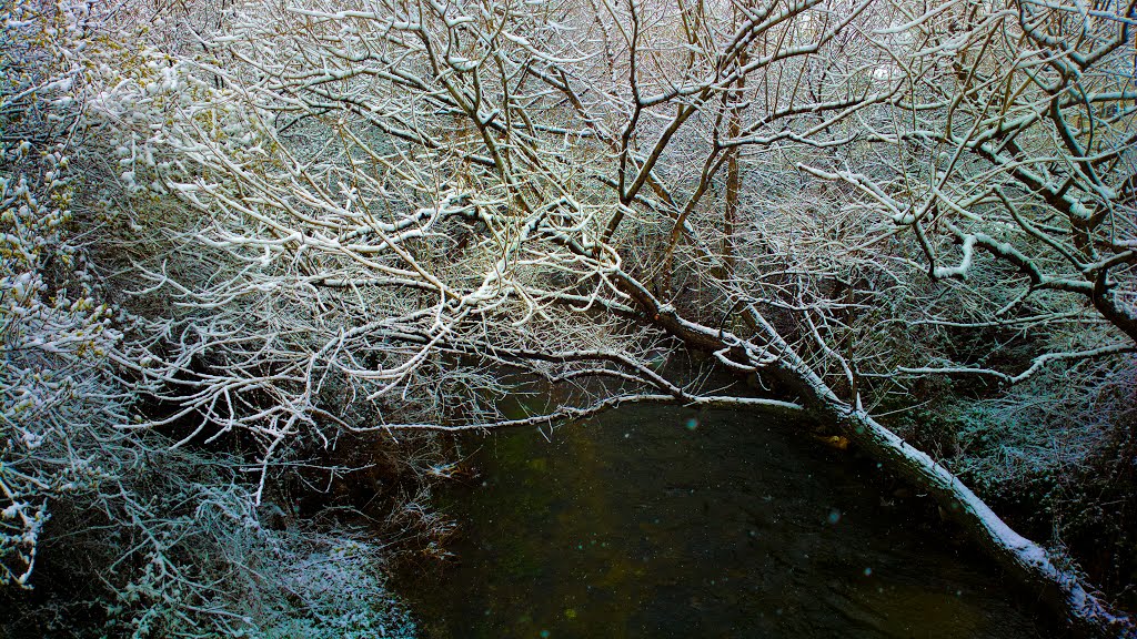 Río Guadarrama 03 - Collado Villalba